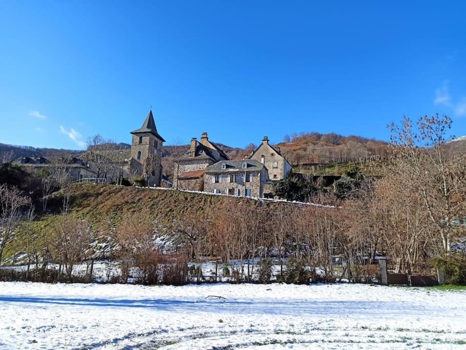 Maison Familiale Et Authentique Saint-Jacques-des-Blats Luaran gambar
